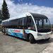 Rottnest Island Tour from Perth or Fremantle