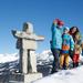 Winter Tour: Whistler and Shannon Falls Full-Day Tour from Vancouver