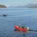 Ketchikan Shore Excursion: Zodiac Boat Wilderness Adventure 