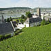 Private Tour: Customizable Rhine Valley Day Trip from Frankfurt