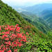 Private Tour: Yao Mountain and Tea Plantation from Guilin 