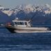 Juneau Shore Excursion: Private Fishing Trip