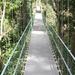 Roatan Shore Excursion: Hanging Bridges Eco Tour and Beach Break