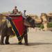 Private Tour: Amber Fort and Jal Mahal Including Elephant Ride 