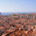 Dubrovnik Shore Excursion: Old Town Walking Tour