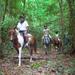 Full-day Horse Riding and ATV Tour from Cairns