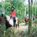 Horse Riding Tour from Cairns