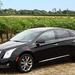 San Francisco Shore Excursion: Private Customized Wine Tour to Wine Country by Luxury Sedan or SUV