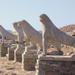 Private Tour: Delos Day Trip from Mykonos