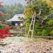 Private Scholar-led Kyoto Walking Tour: Japanese Gardens and Landscape