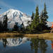 Mt Rainier Small-Group Walking or Snowshoeing Tour with Lunch