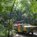 Kuranda Rainforestation Nature Park
