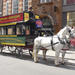 London Victorian Sightseeing Tour in a Horse-Drawn Carriage