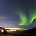 Iceland Super Saver: Northern Lights Cruise plus Whale-Watching Tour from Reykjavik