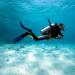  Bermuda Shore Excursion: 2-Tank Certified Scuba Dive