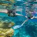 Bermuda Shore Excursion: Power Snorkel Adventure 