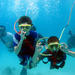 Bermuda SNUBA and Snorkel Park Adventure