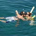 Glass Bottom Boat and Snorkeling Combo in Bermuda