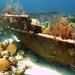 Shipwreck Snorkel in Bermuda