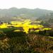 Private Tour: Huanglongxi Ancient Town and Countryside Trekking from Chengdu