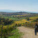 Private Tour: Guided Hike in Tuscany with Transport from Siena