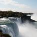 Niagara Falls American Side Highlights Tour