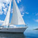 Full-Day Sailing Cruise from Hobart