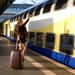 Private Departure Transfer: Brussels, Bruges or Ghent Hotels to Brussels Gare du Midi Railway Station