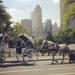 Central Park Date: Horse Carriage Ride with Tavern on the Green Dining Experience