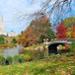 Highlights of Central Park Walking Tour