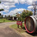 Small-Group Hunter Valley Wine and Cheese Tasting Tour from Sydney