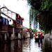 Private Tour: Fengjing Water Town and Peasant Painting Experience from Shanghai