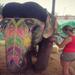 Day Excursion with Elephants in Jaipur 