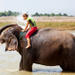 Private Eco-Tour: Crocodile Watching, Spice Plantation and Elephant Experience in Goa