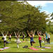 Yoga And Meditation Experience at Lodhi Gardens in Delhi