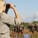 4-Day Addo and Garden Route Safari Guided Tour from Cape Town