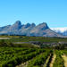 Private Tour: Stellenbosch, Franschhoek and Paarl Wine-Tasting Tour from Cape Town