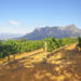 Stellenbosch Winelands Tasting Tour from Cape Town 