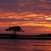Marco Island Sunset or Moonlight Kayak Tour