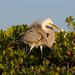 Small-Group Wildlife Boat Tour in Florida Everglades National Park