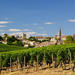 Bordeaux Super Saver: Médoc Wine Tour and Lunch plus St-Emilion or Graves