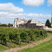 Bordeaux Super Saver: Small-Group Wine Tasting and Lunch plus St-Emilion Wine Tour