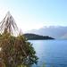 Lake Wakatipu Nature Walking Tour from Queenstown