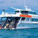 Outer Great Barrier Reef Snorkeling and Diving Cruise from Port Douglas