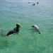 3-Day Eyre Peninsula Wildlife Adventure with Optional Shark Cage Dive from Adelaide