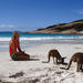 9-Day Perth to Adelaide Nullarbor Adventure with Optional Shark Cage Dive and Swim with Sealions and Dolphins