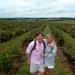 Private Tour: Wine-Tasting Tour from Montevideo