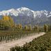 4-Day Trip to Mendoza by Air from Buenos Aires