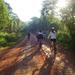 Iguazú Bike Tour to the Yaguarundi Road from Puerto Iguazú