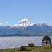 Lake Huechulafquen and Lanín Volcano Day Trip